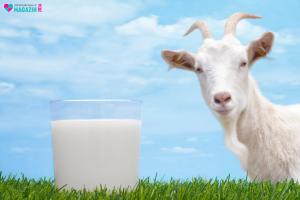 Kozí mléko mražené 1 litr