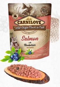 Carnilove kapsa Salmon with Blueberries for puppies 300g