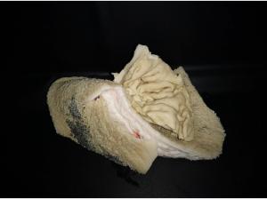Hovězí dršťky vcelku, prané 1kg - FAMILY BARF