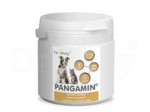 Dromy Pangamin 800 tablet