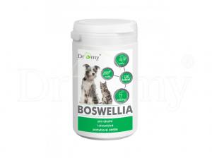 Dromy Boswellia 120 tbl.