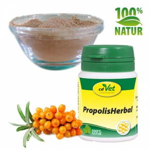 cdVet Propolis Herbal 45 g