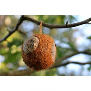 Ptačí krmítko kokos s náplní a 3 otvory