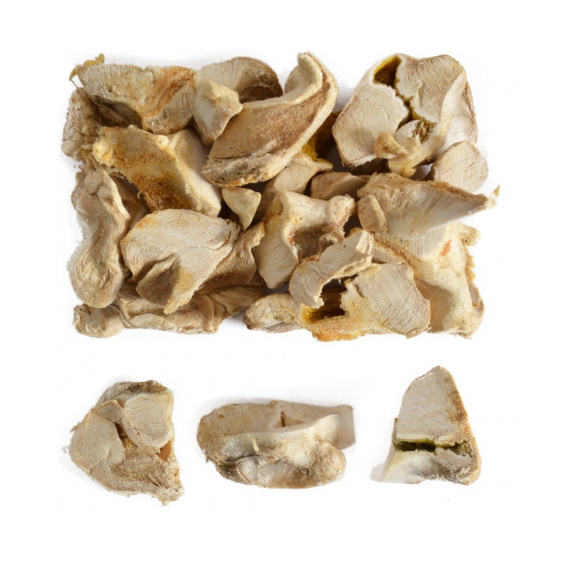 Kuřecí žaludky, mrazem sušené 60 g