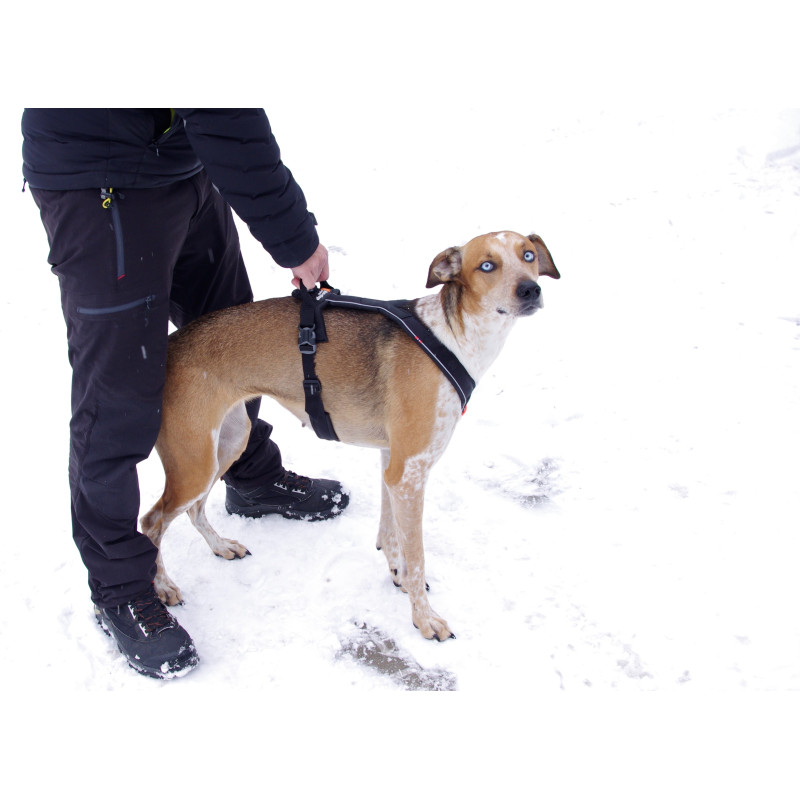 Non-stop dogwear postroj Line Grip