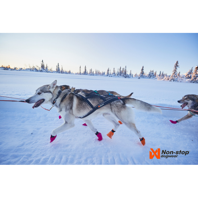 Non-stop dogwear postroj Nansen