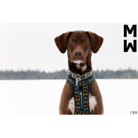 ManMat Postroj HOUND