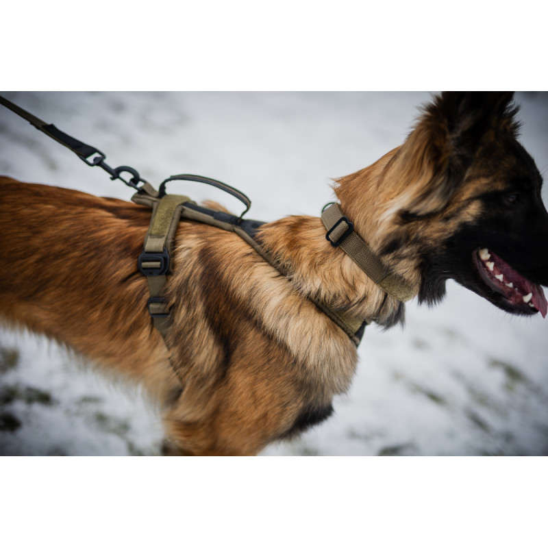 Non-stop dogwear Line Grip WD