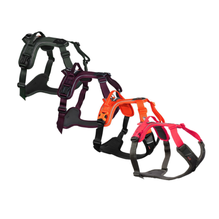 Non-stop dogwear postroj Ramble