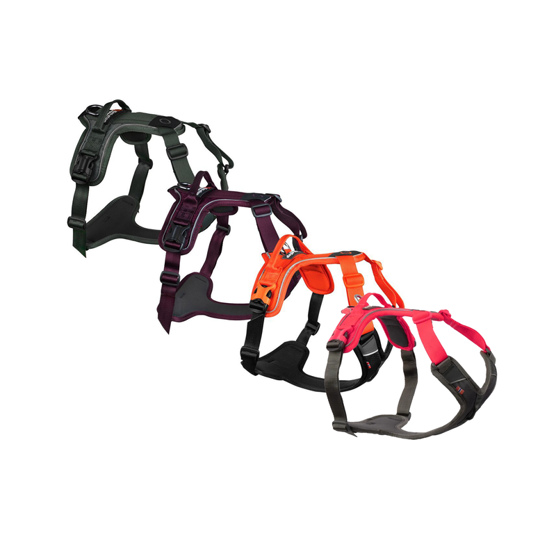 Non-stop dogwear postroj Ramble