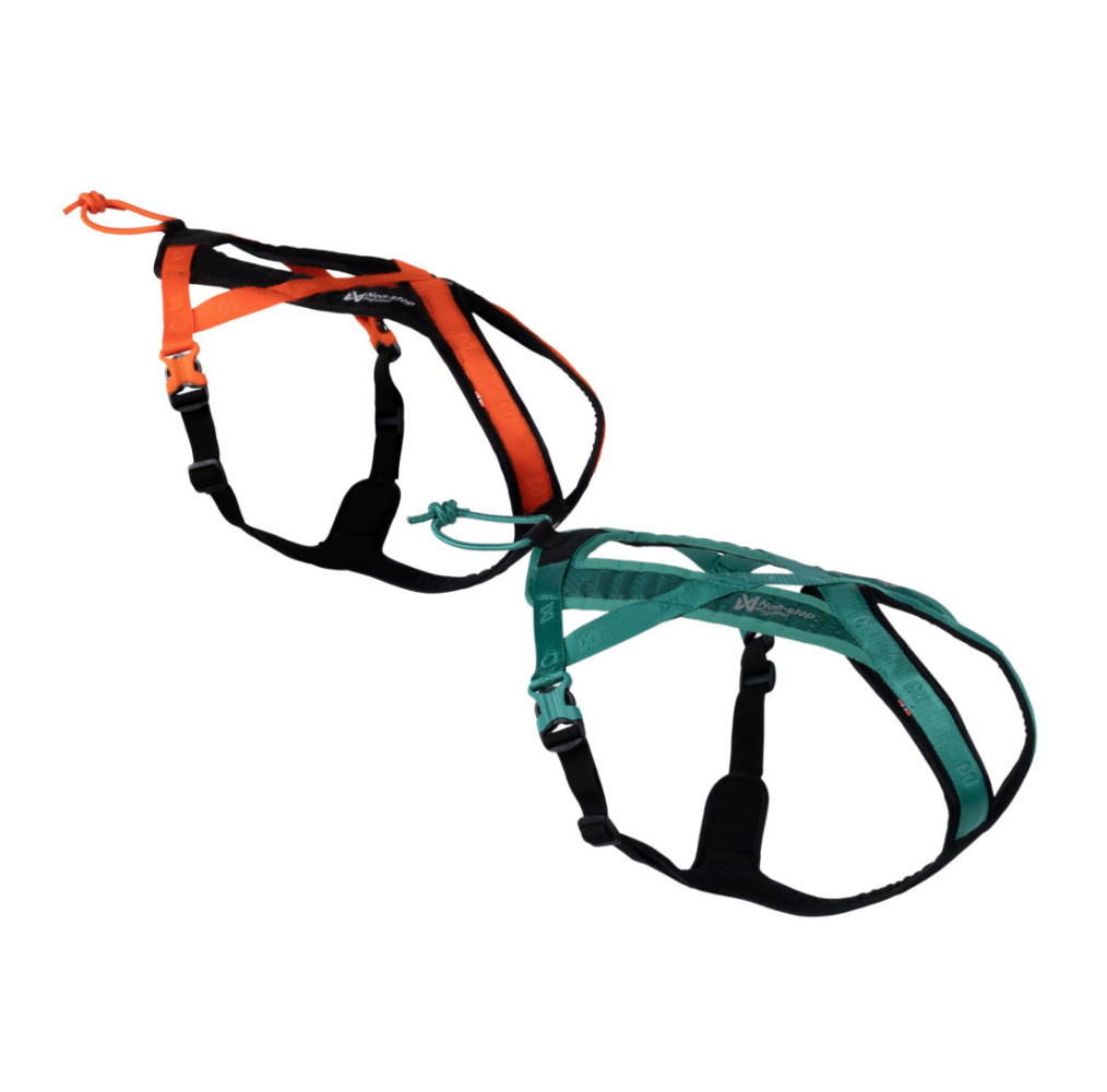 Non-stop dogwear postroj Rush