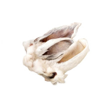 Syrové králičí ucho 1 kus