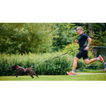 Non-stop dogwear postroj Rush