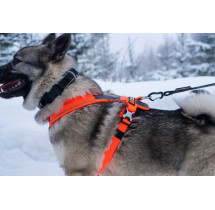 Non-stop dogwear postroj LINE HARNESS 5.0