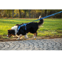 ManMat Postroj SMART