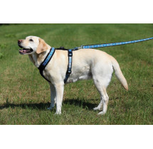 ManMat Postroj SMART