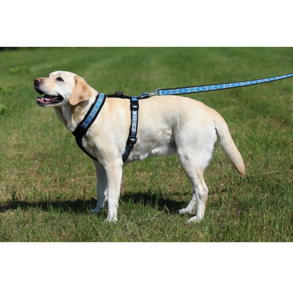 ManMat Postroj SMART