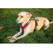 ManMat Postroj SMART