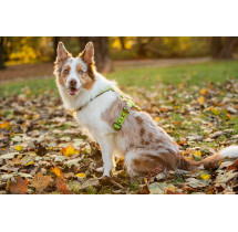 ManMat Postroj SMART