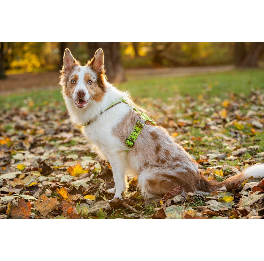 ManMat Postroj SMART