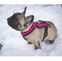 ManMat postroj RICCO