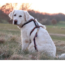 ManMat postroj GUARD