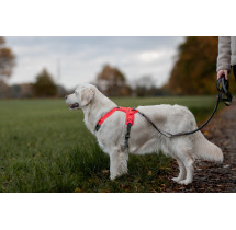 Non-stop dogwear postroj Ramble