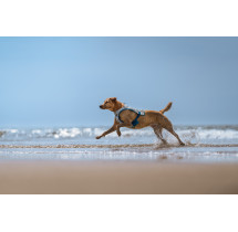 Non-Stop Dogwear Cooling vest - chladící vesta