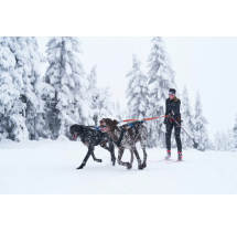 Non-stop dogwear Bungee Leash Double