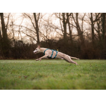 Non-stop dogwear postroj Ramble Long