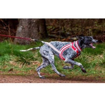 Zero DC  postroj FASTER