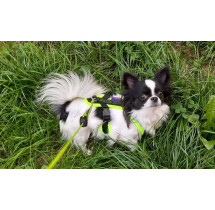 Zero DC postroj SHORT