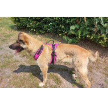 Zero DC - postroj EASY PEASY