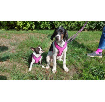 Zero DC - postroj EASY PEASY