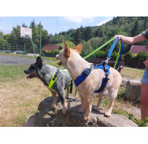 Zero DC - postroj EASY PEASY