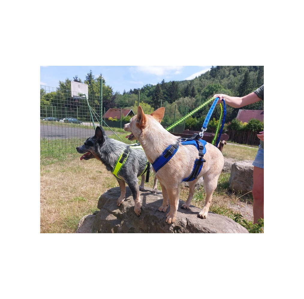 Zero DC - postroj EASY PEASY