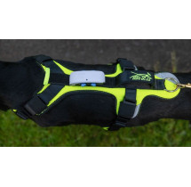 Zero DC postroj SHORT COMFY