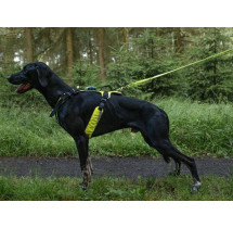 Zero DC postroj SHORT COMFY