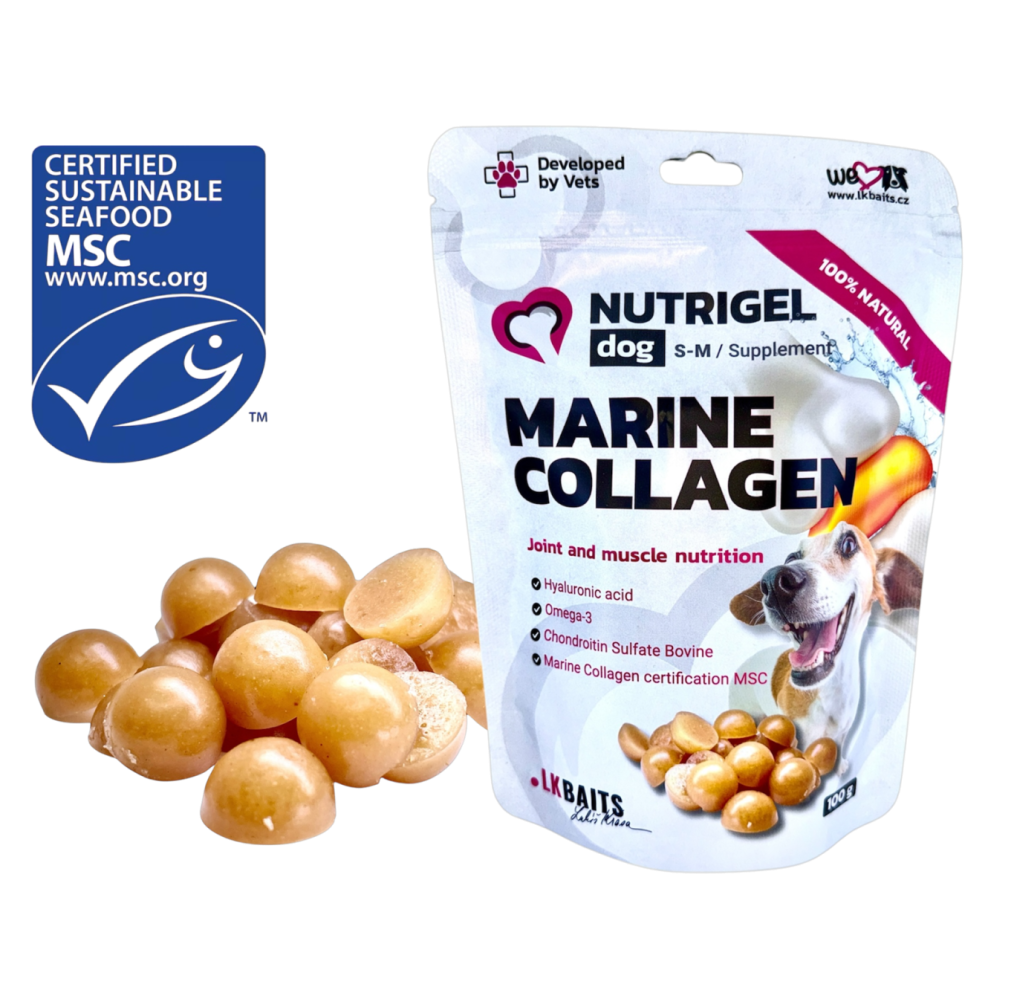 NUTRIGEL - Marine collagen S/M 100g