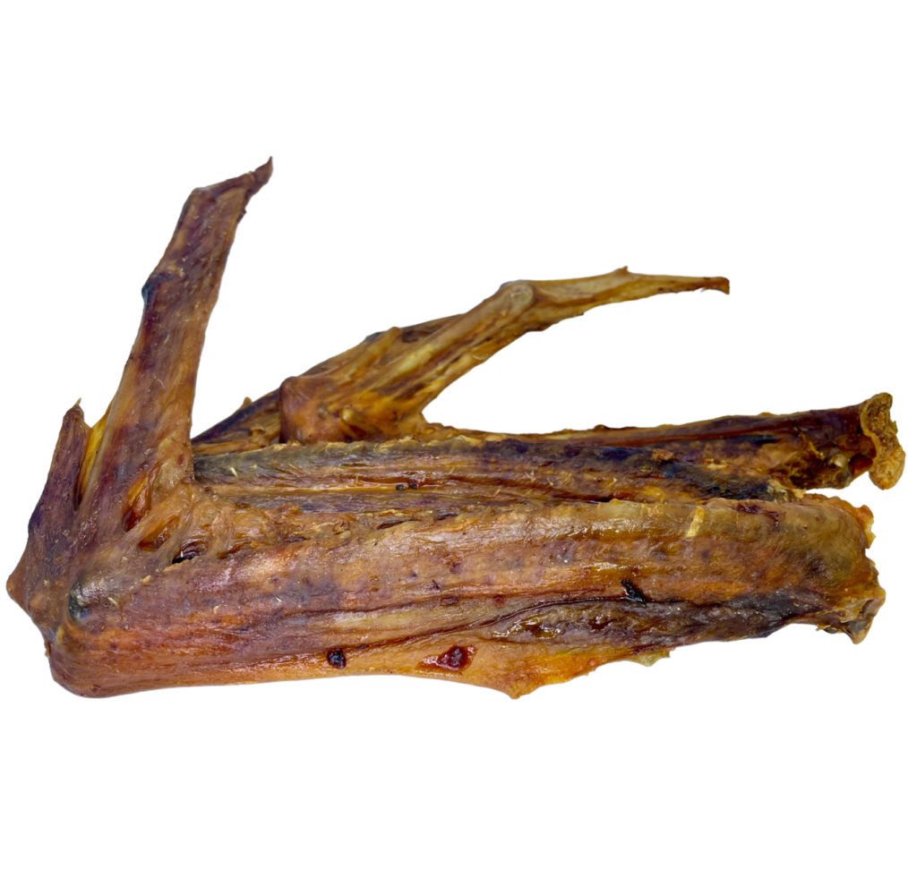 Husí křídlo 1 kus